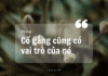 Cố gắng cũng có vai trò của nó