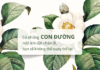 Có những con đường, một khi đã đặt chân đi, bạn sẽ không thể quay trở lại